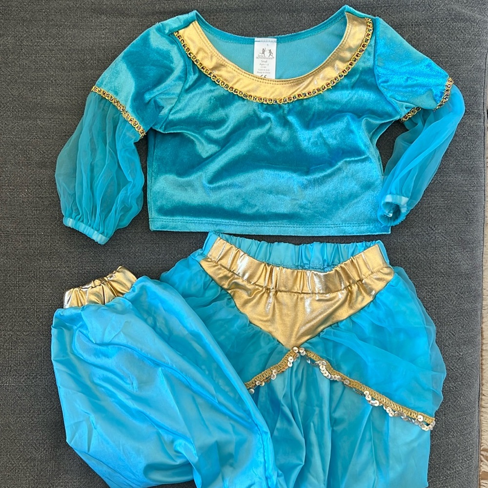Little Adventures Jasmine Costume